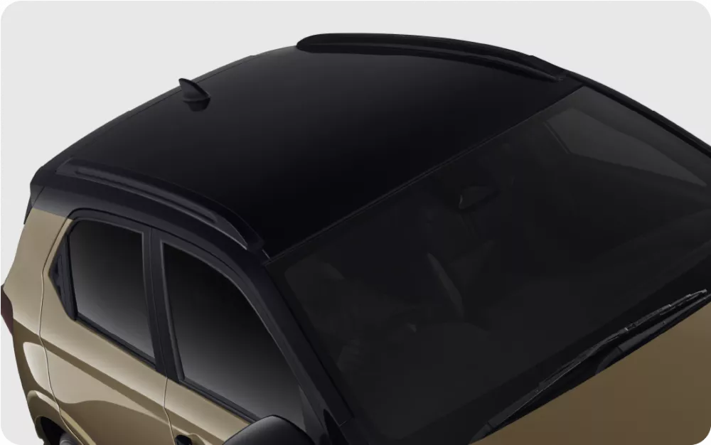 Roof Garnish (RS Sensing Type)